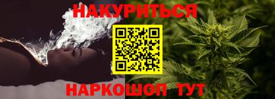 стафф Дубна