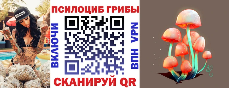 купить закладку  Новозыбков  hydra онион  Псилоцибиновые грибы GOLDEN TEACHER 