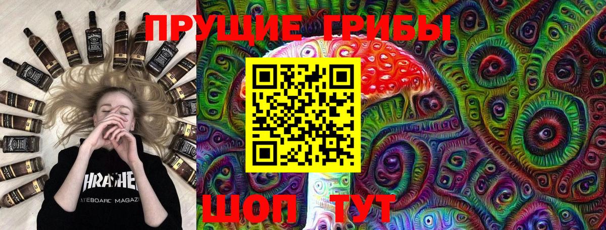 Галлюциногенные грибы мухоморы Новозыбков