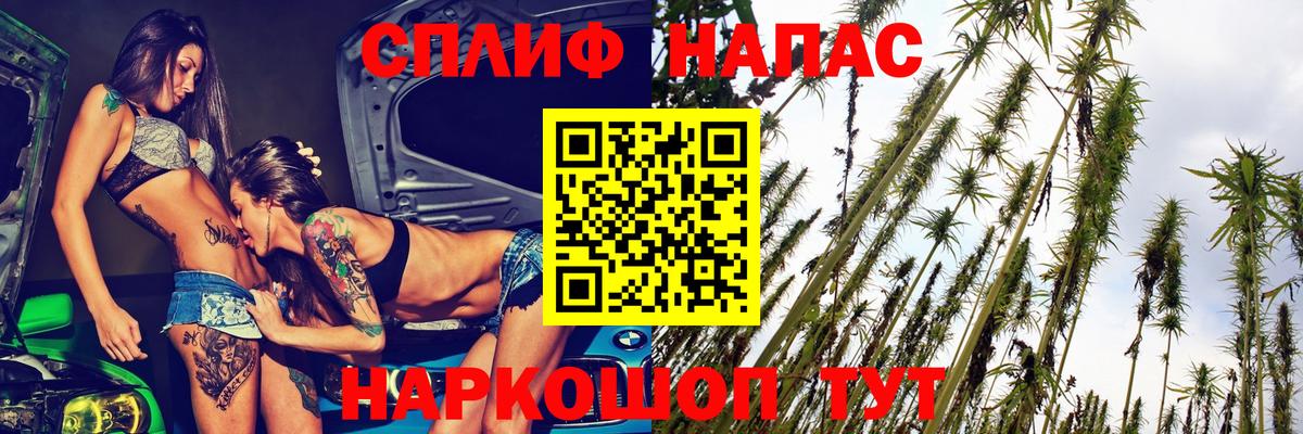 Бошки марихуана сатива Новозыбков